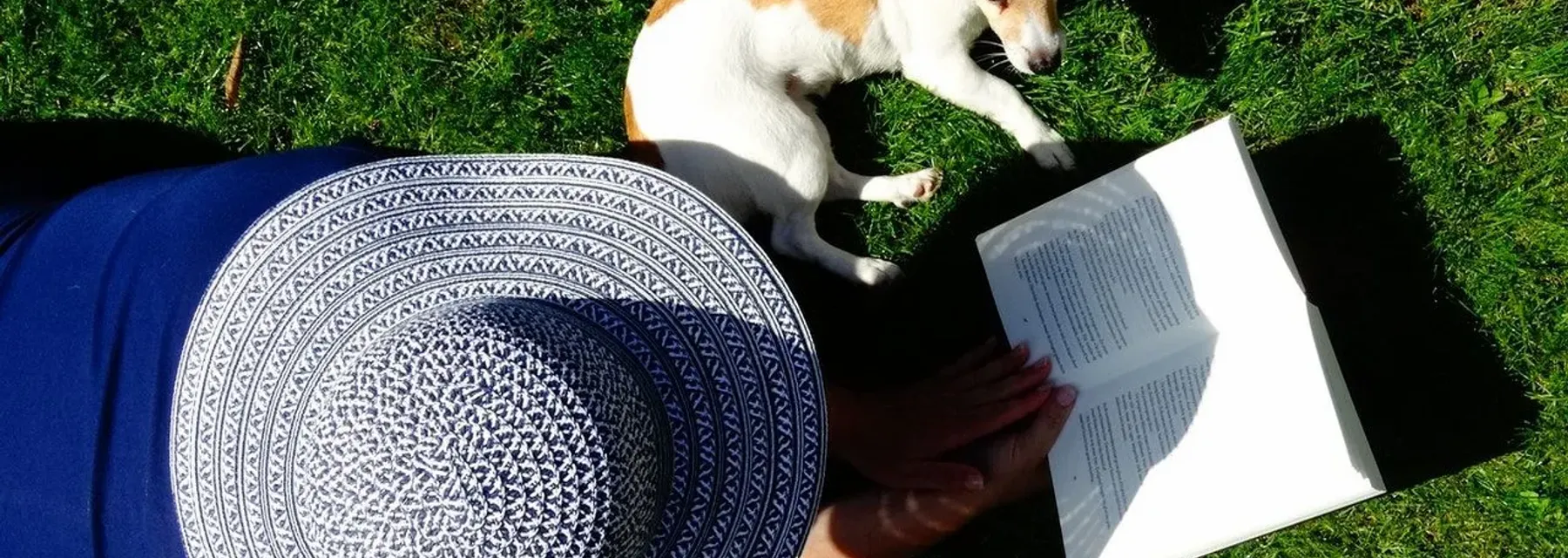 Top 6 Communities in Dubai That Are Perfect for Pet Lovers - Dacha