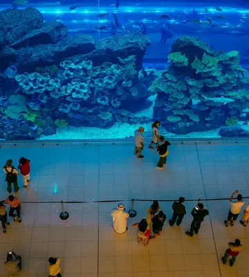 The Top Fun Indoor Activities during Rainy Days in Dubai - Dacha