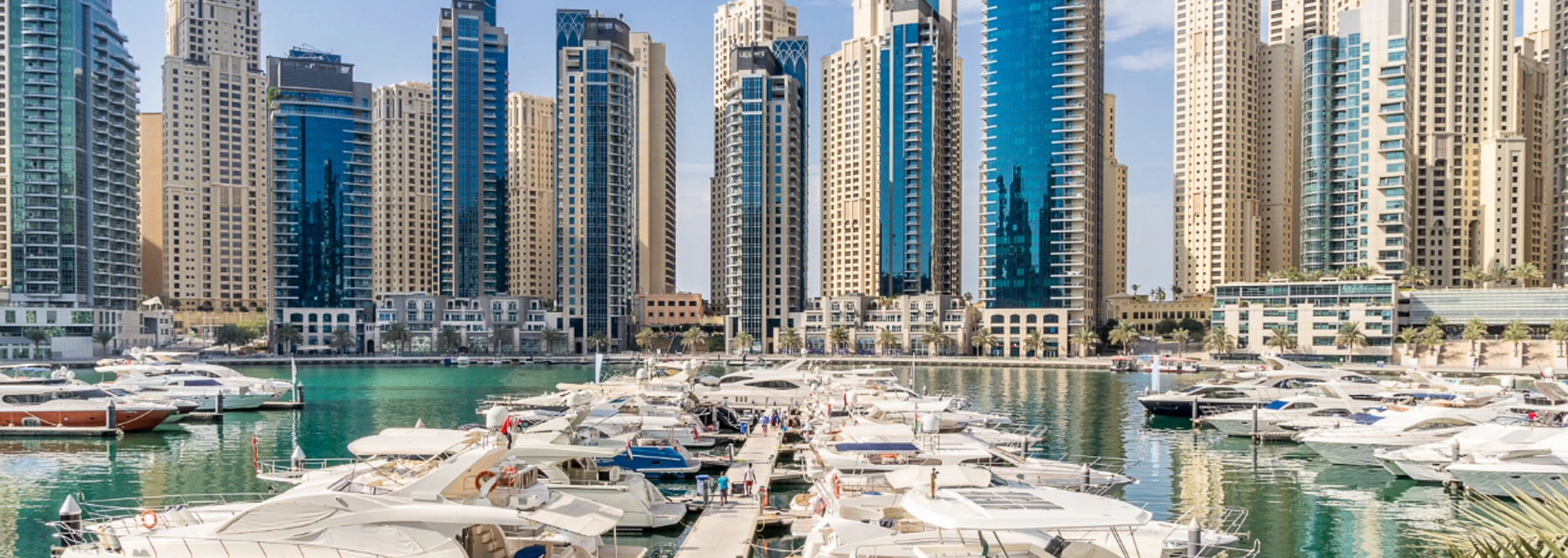 Who is the top real estate agent in Dubai Marina?  - Dacha - undefined