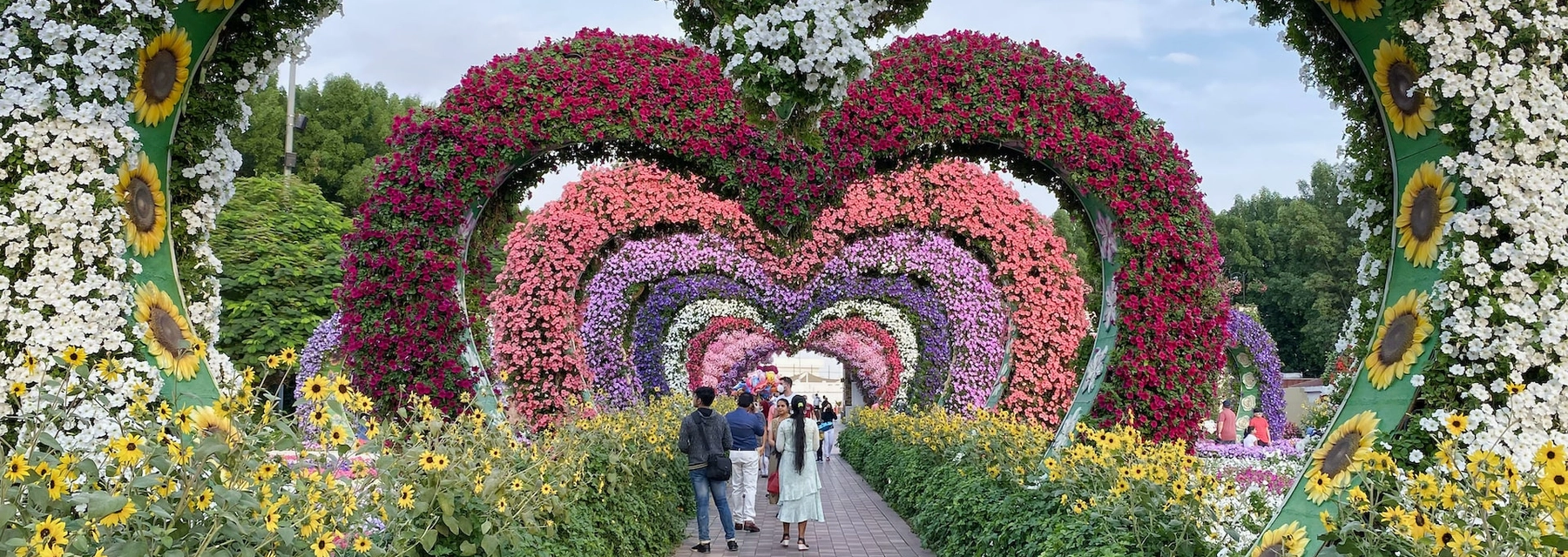 New Things to Expect in Dubai Miracle Garden This 2022 - Dacha - undefined