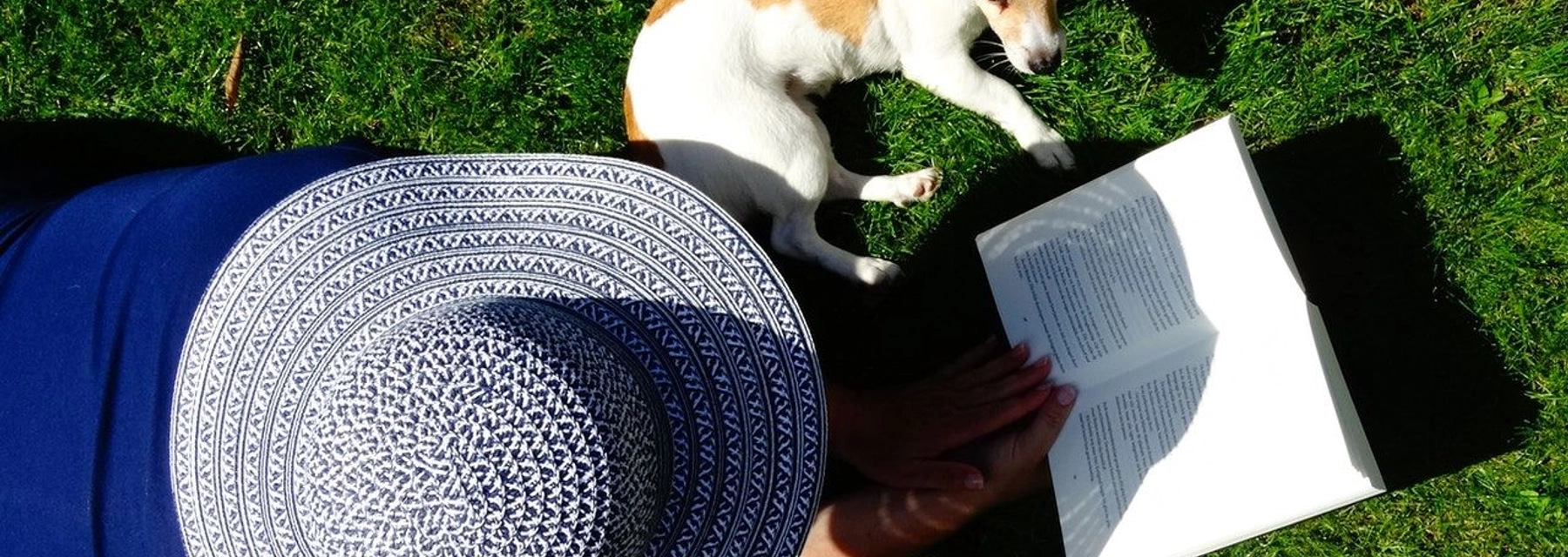 dog with owner - undefined