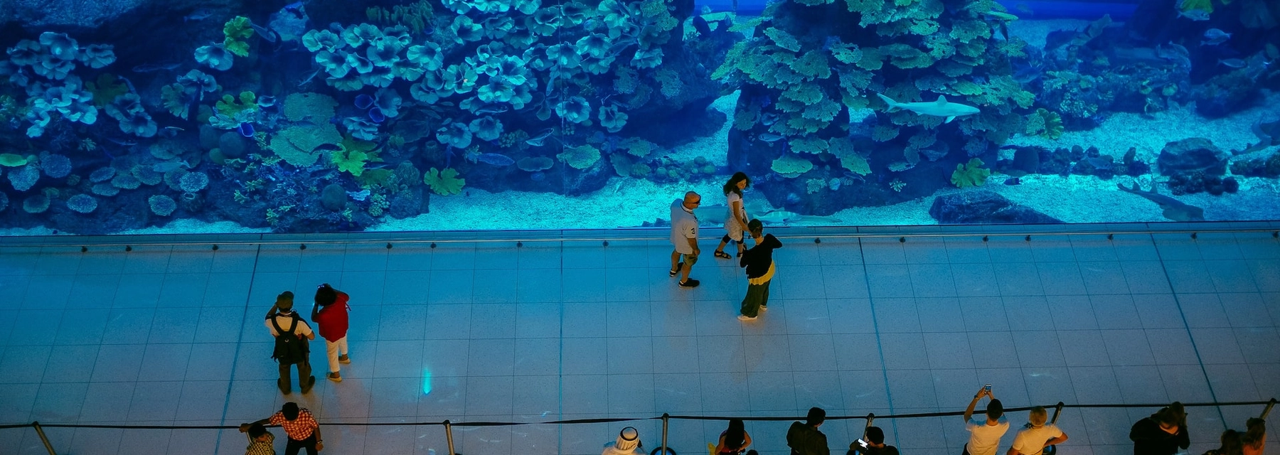 dubai aquarium - undefined