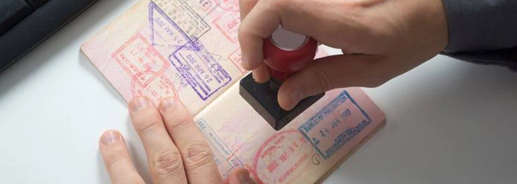 UAE Visa Status: simple steps to check UAE Visa Application Status - Dacha - undefined