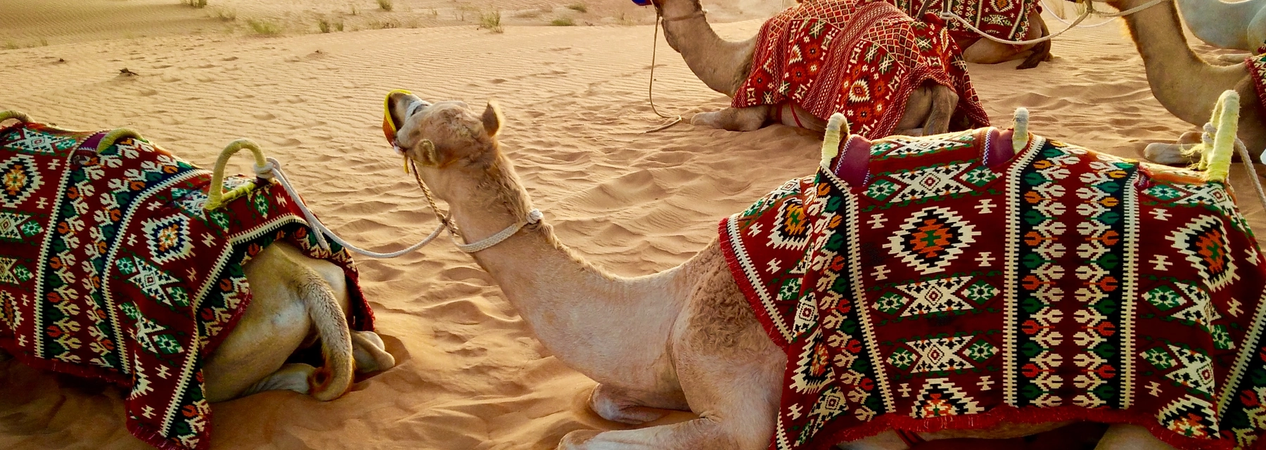 Escape the Hustle and Bustle: Relaxing Daycations in Dubai - Dacha - undefined