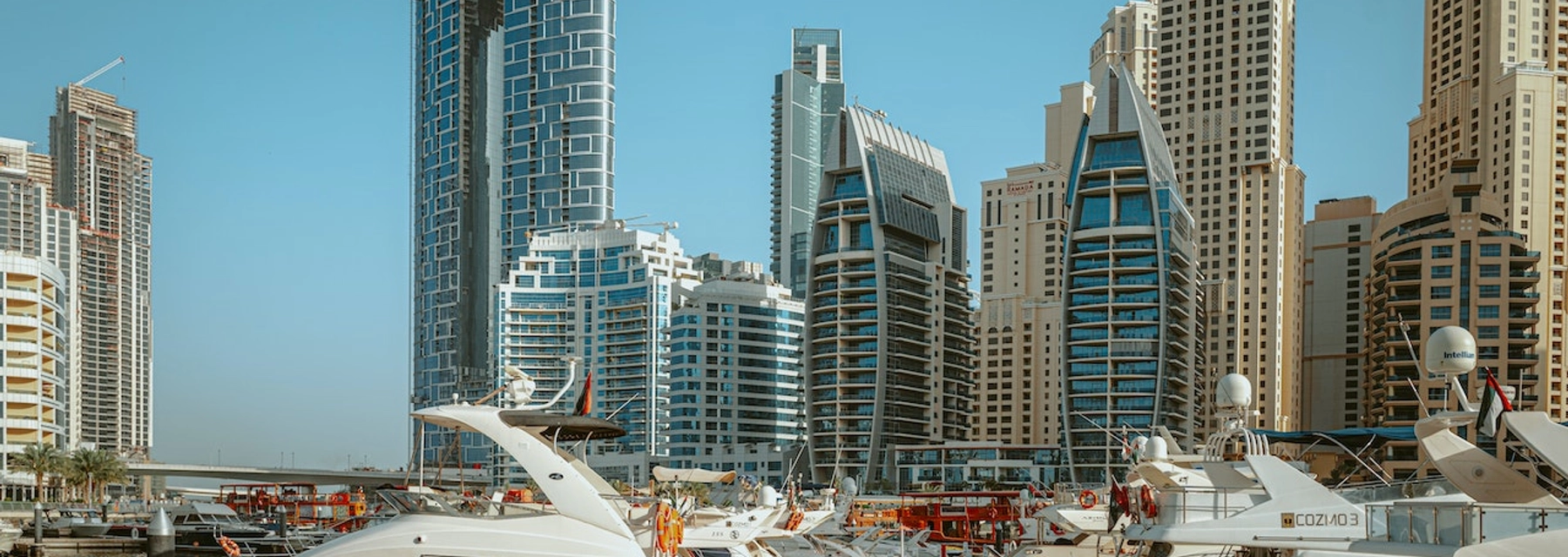 6 Fun & Best Things to do in Marina - Dacha - undefined