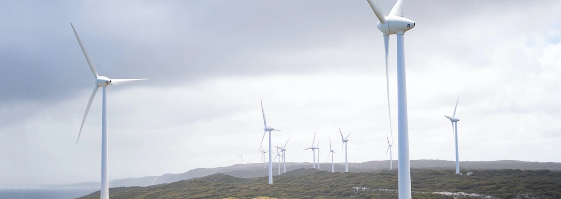 What You Need to Know About UAE's New Sustainability Standards - Dacha - undefined