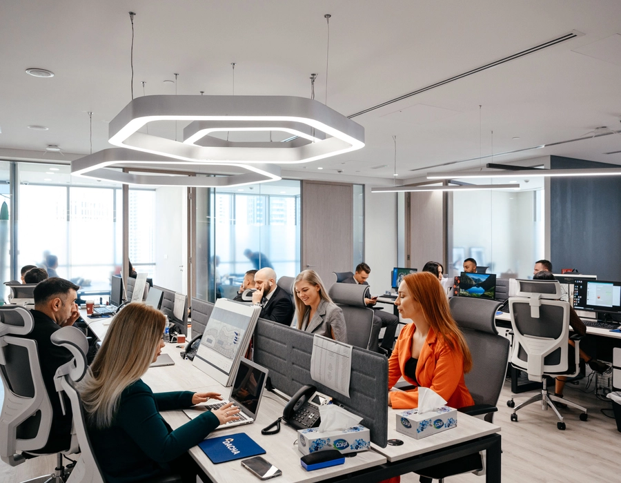 Career Dacha - undefined